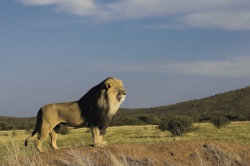 Namibia: Ein einziges Naturschauspiel - Abenteuerurlaub